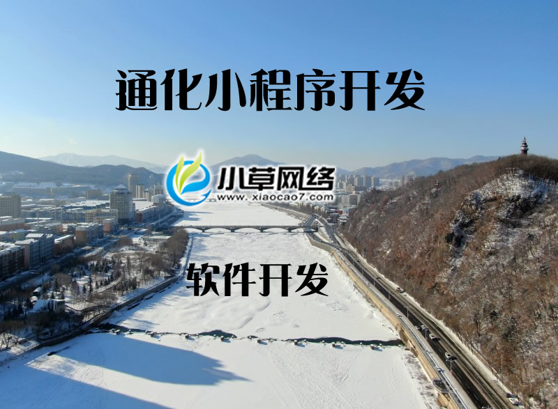 通化小程序市场中如何选择有开发实力的网络公司？