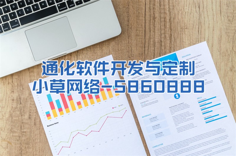 通化软件开发行业的规模现状？