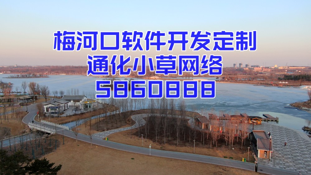 梅河口市软件开发行业的发展趋势与前沿应用